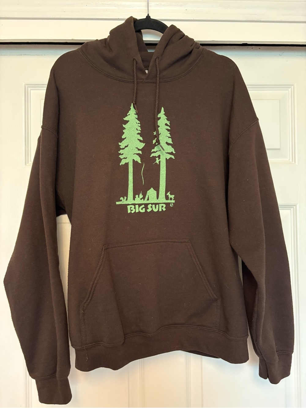 Gildan Brown Hoodie with Green Big Sur Graphic